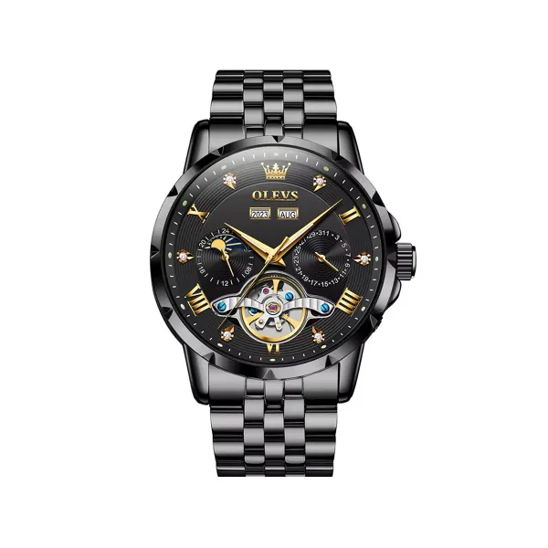 Olevs 6691